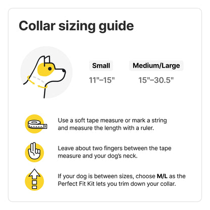 Collar 3 (Small, Sunburst) - GPS Dog Fence - Multifunction Wireless Dog Fence & Training Collar with Real-Time Tracking & GPS - Waterproof, Create up to 20 Wireless Fences.