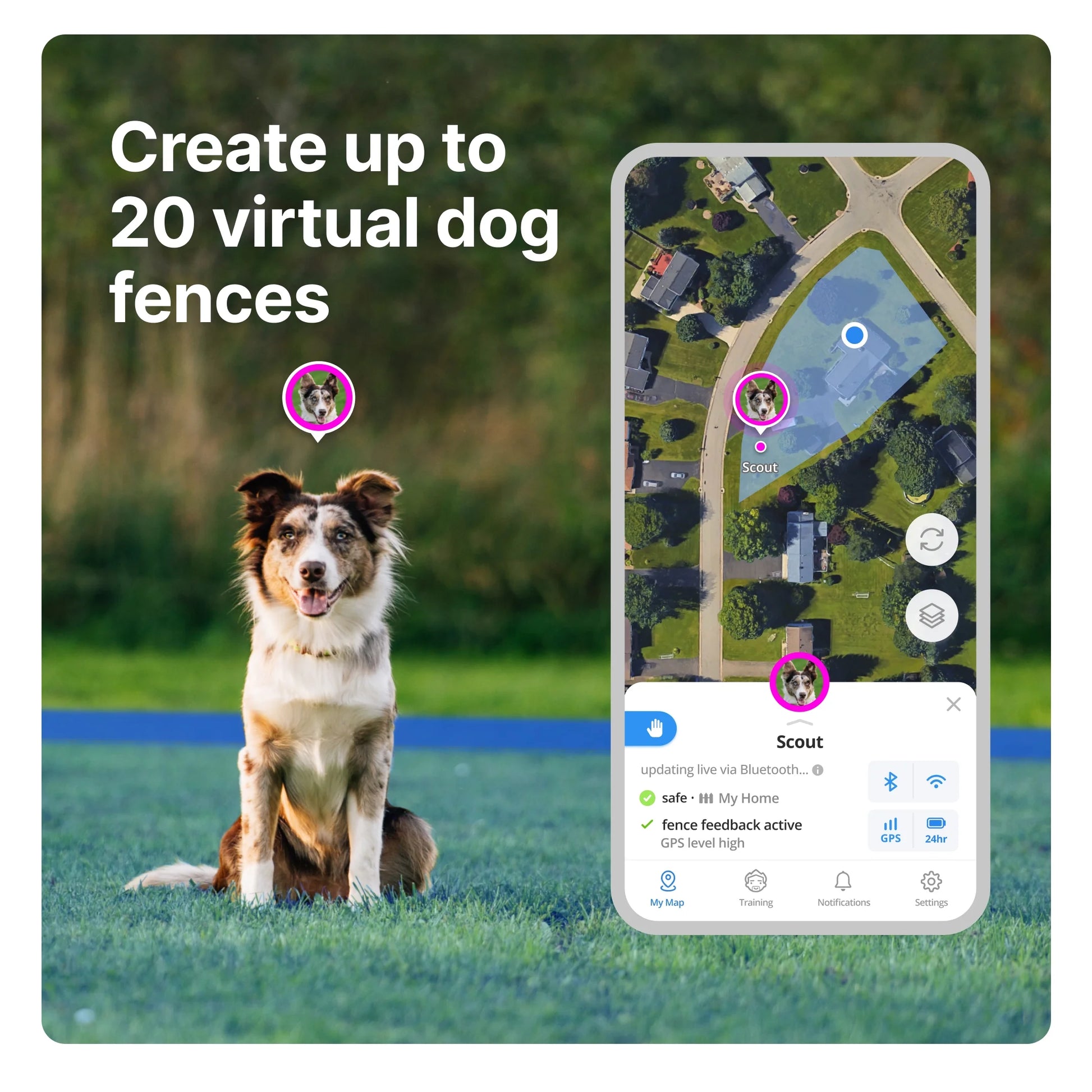 Collar 3 (Small, Sunburst) - GPS Dog Fence - Multifunction Wireless Dog Fence & Training Collar with Real-Time Tracking & GPS - Waterproof, Create up to 20 Wireless Fences.