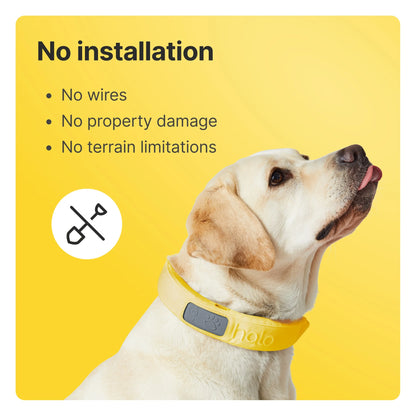 Collar 3 (Small, Sunburst) - GPS Dog Fence - Multifunction Wireless Dog Fence & Training Collar with Real-Time Tracking & GPS - Waterproof, Create up to 20 Wireless Fences.