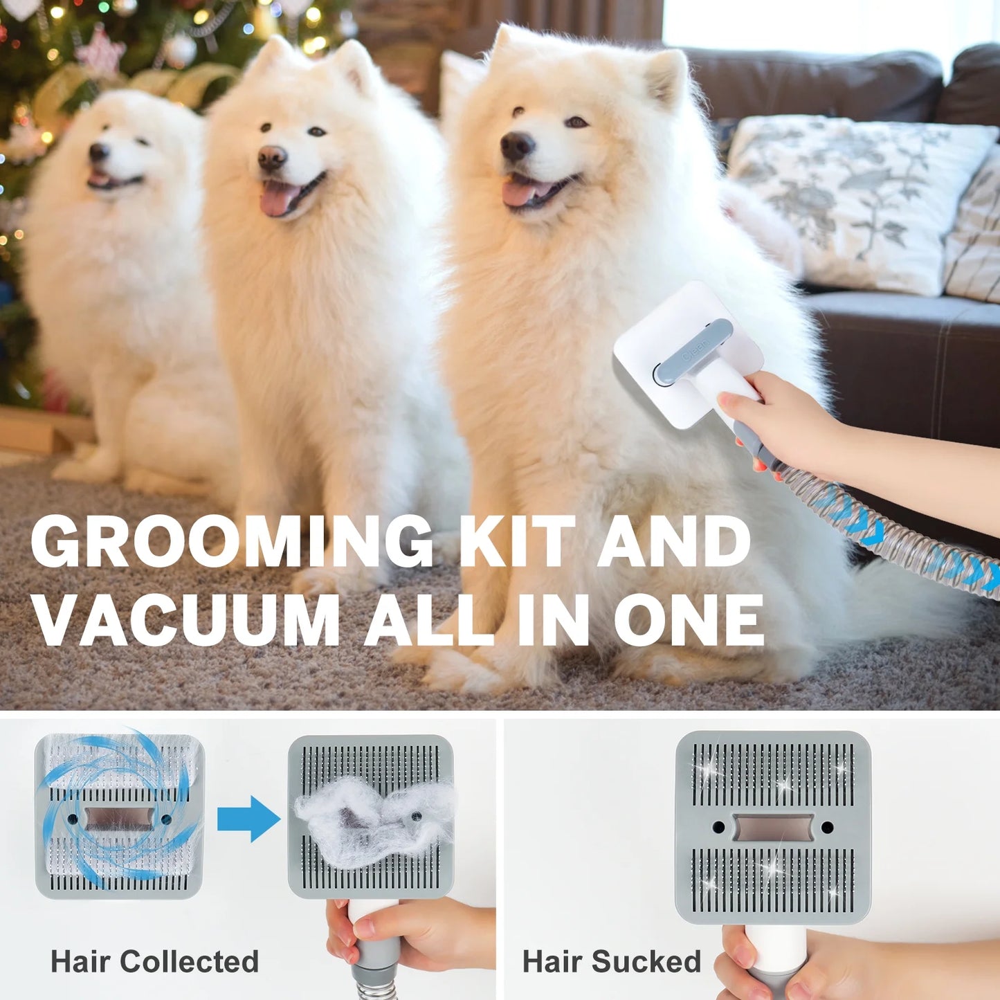 2L Dog Grooming Kit Pet Grooming Vacuum Dog Clippers 13000Pa Dog Brush 4 in 1 Low Noise Pet Supplies for Shedding Dog Cat Hair Removal Tool Home Cleaning